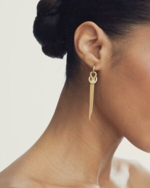 Image for article 40418