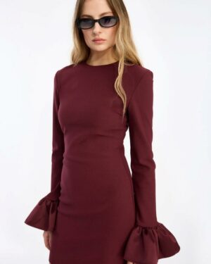 Frill Sleeve Mini dress