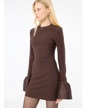 Frill Sleeved Mini Dress