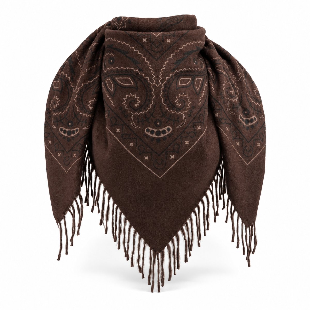 Paisley Scarf with fringes